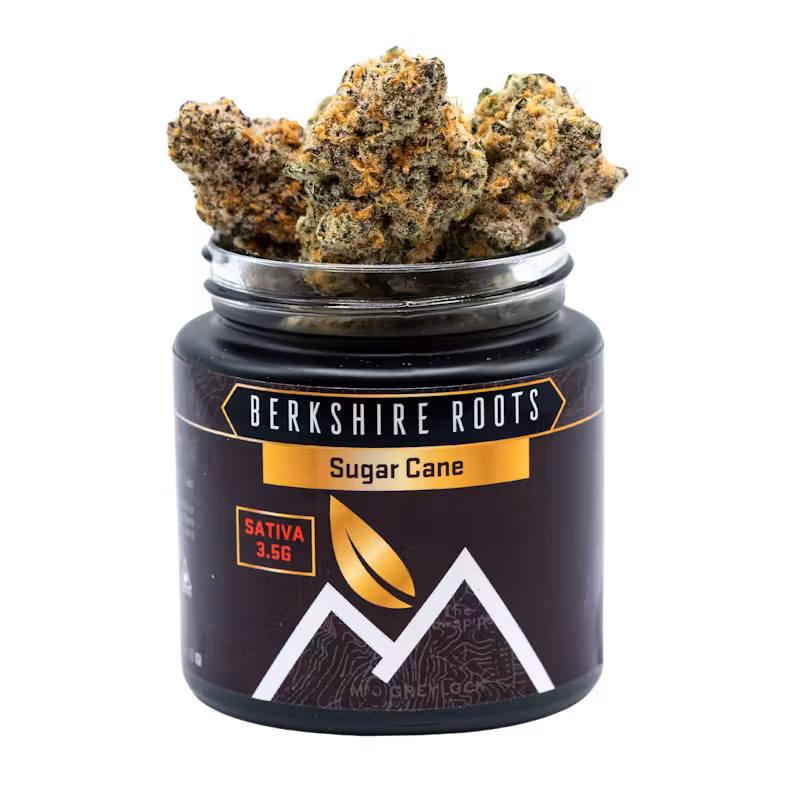 Sugar Cane | Flower | 3.5g | Berkshire Roots - Image 2