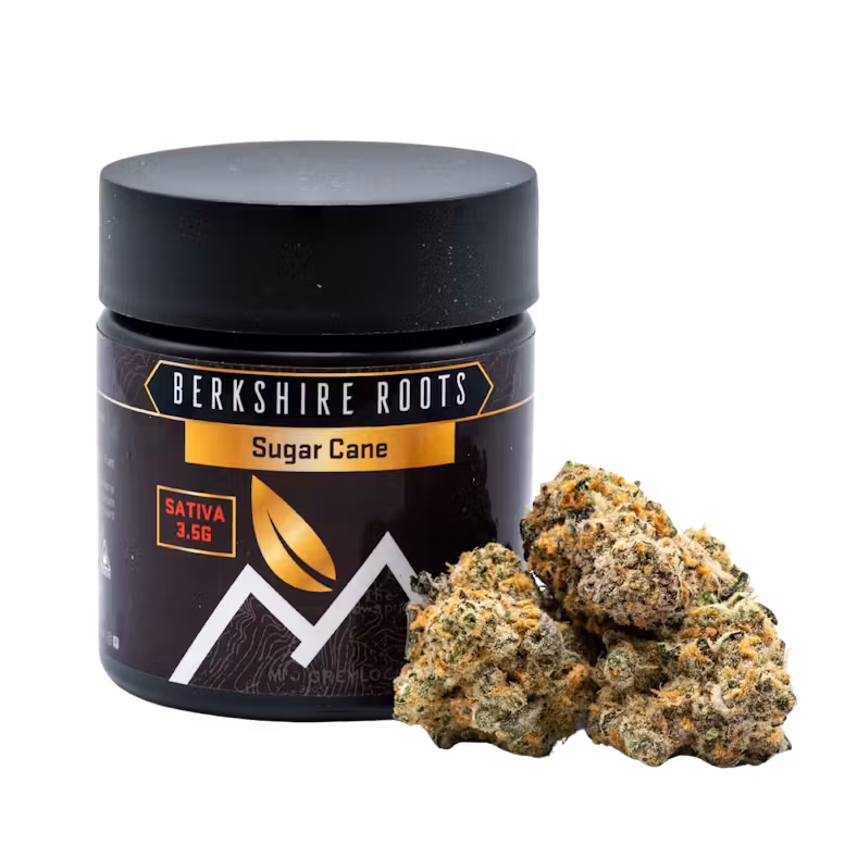 Sugar Cane | Flower | 3.5g