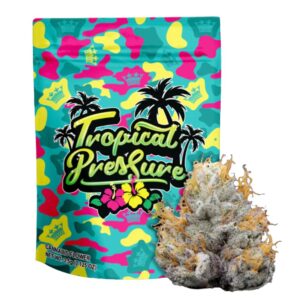 Tropical Pressure | Small Buds | 14g
