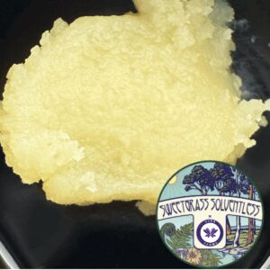 Papaya Splash | Cold Cured Live Hash Rosin | 1g