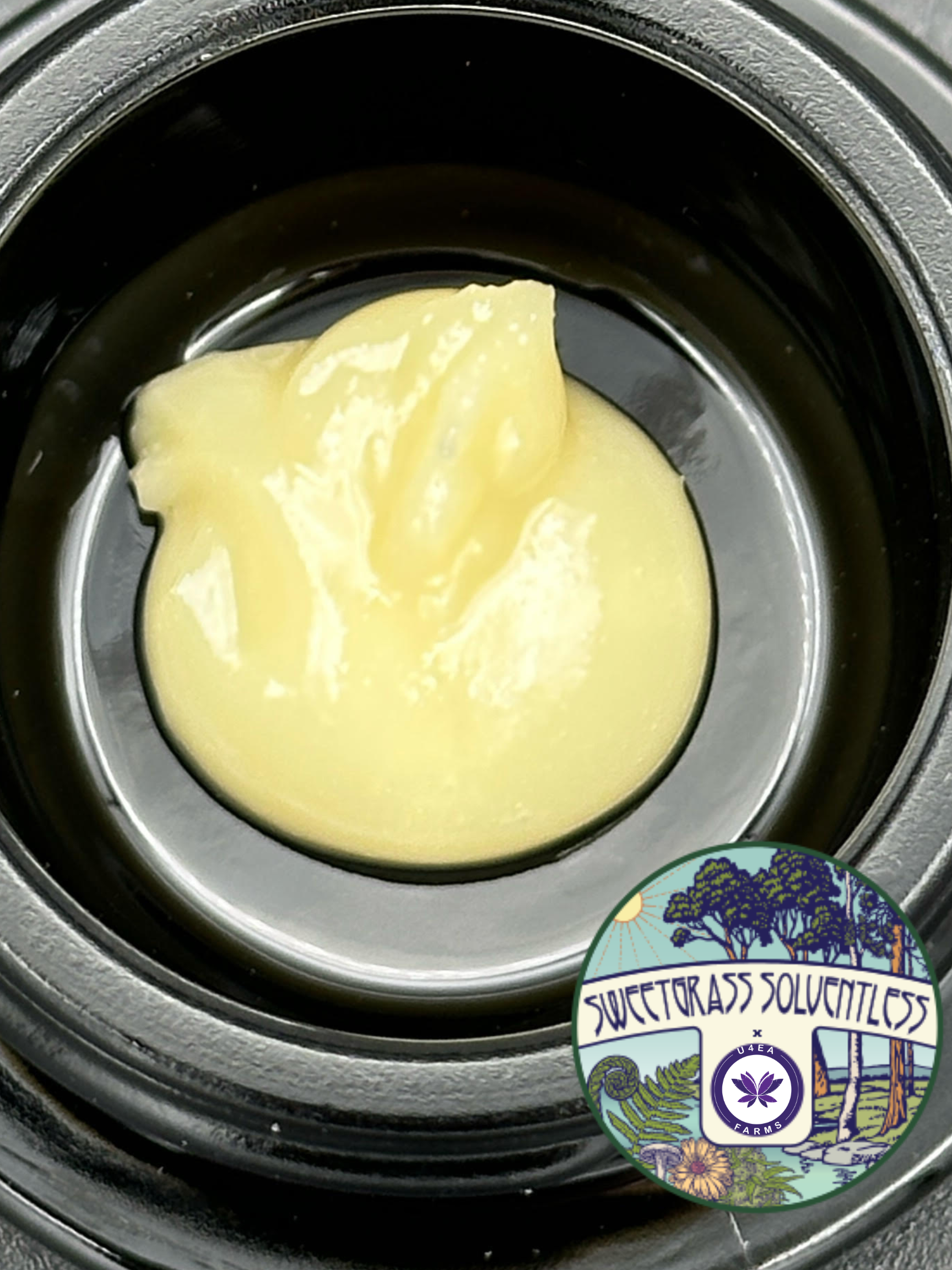 Pie Dough | Cold Cured Live Hash Rosin | 1g