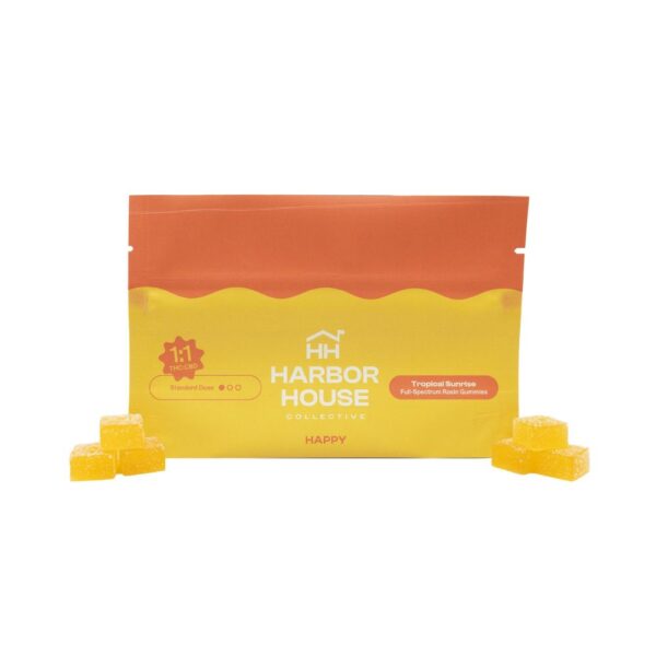 Tropical Sunrise 1:1 CBD | Hash Rosin Gummies | 100mg