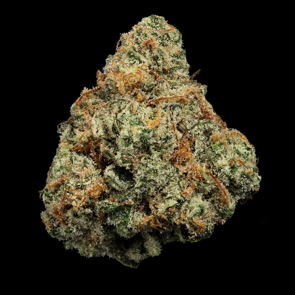 where's my bike? | bulk | comm ave canna Where's My Bike? | Bulk