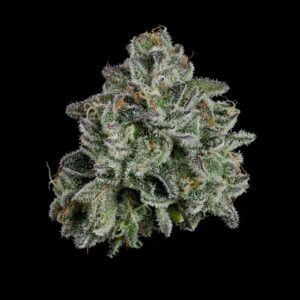 Whoopie Pie | Flower | 3.5g