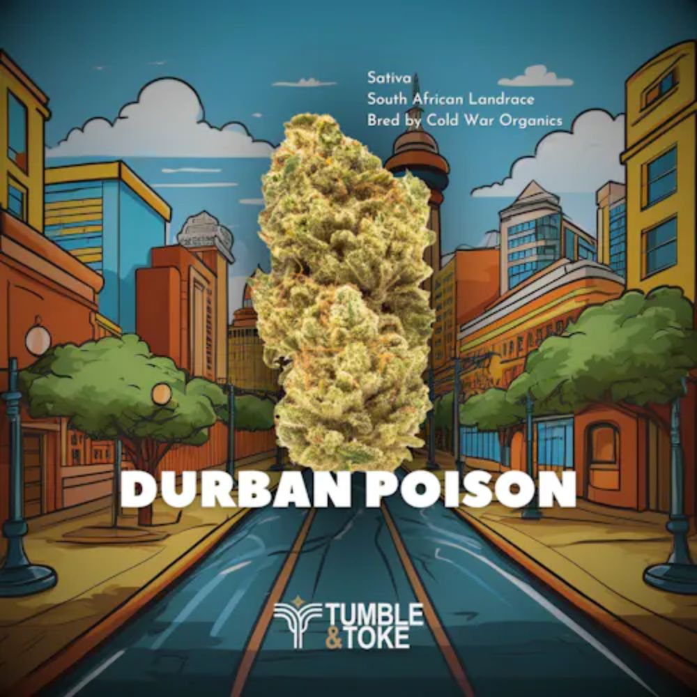 Durban Poison | Flower | 14g