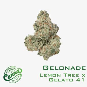 La Bomba | Premium Flower | 3.5g