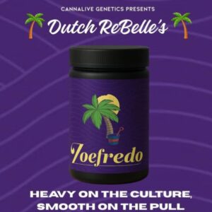 Zoefedo | Pre-Roll | 1g