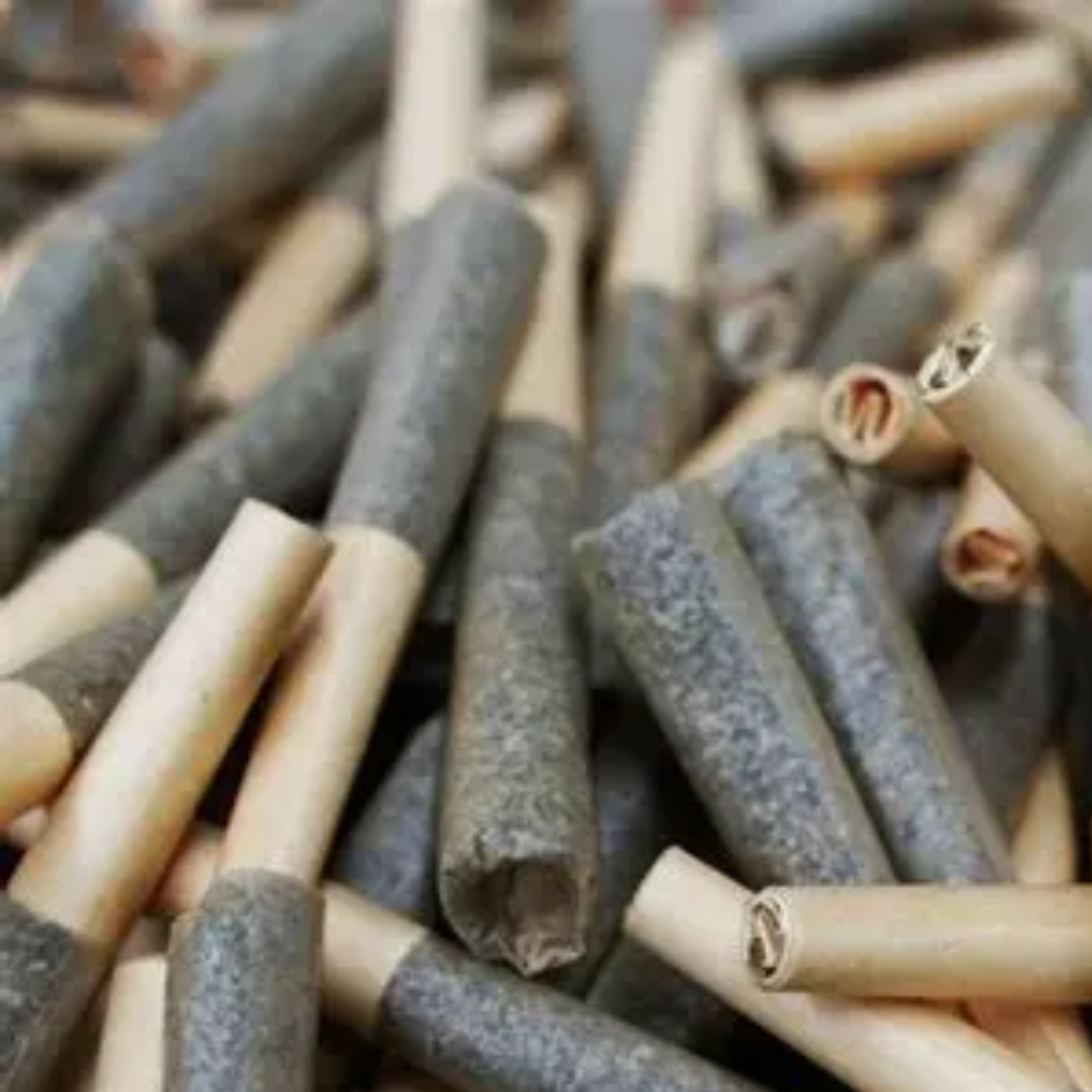 LEGACY Super Lemon Haze | Pre-Roll | 0.5g