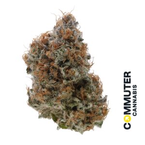 Fantasy Island | Flower | 3.5g