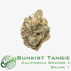 Sunkist Tangie | Classic Flower | 28g