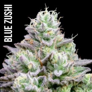 Blue Zushi | Deli Flower