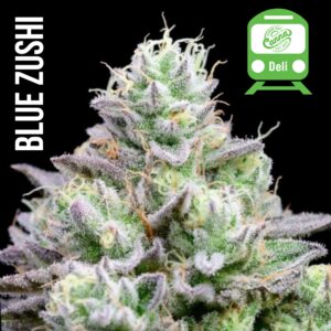 Blue Zushi | Deli Flower