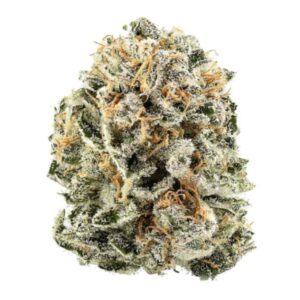 D Sailor | Pre-Ground | 14g