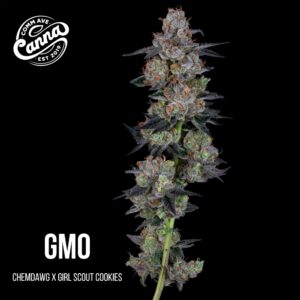 GMO | Flower | 3.5g