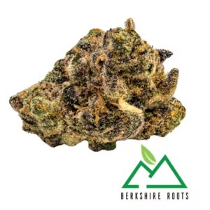 Tropicanna Banana | Flower | 3.5g