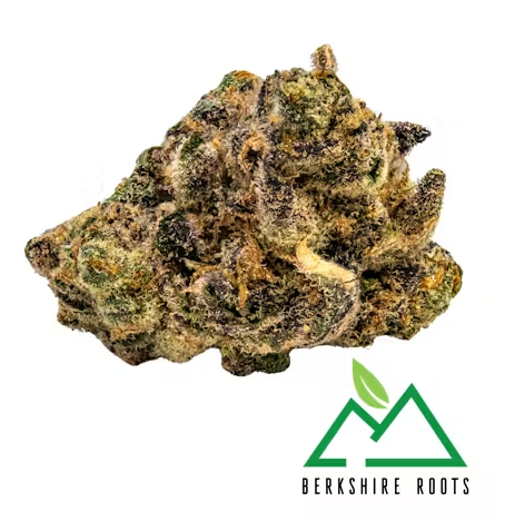 Tropicanna Banana | Flower | 3.5g