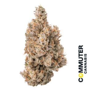 Watermelon Fuel | Flower | 3.5g