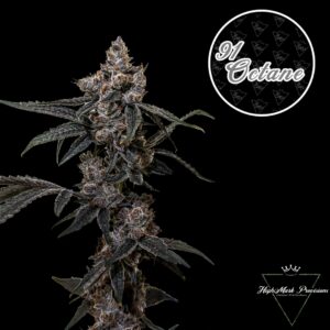 91 Octane | Flower | 3.5g