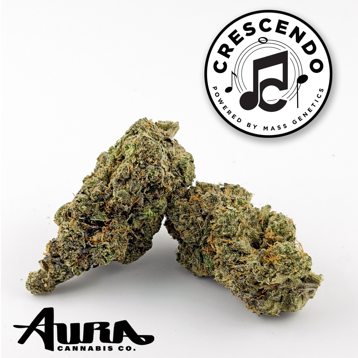 Crescendo (S) | Flower | 3.5g