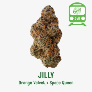 Jilly (SH) | Deli Flower