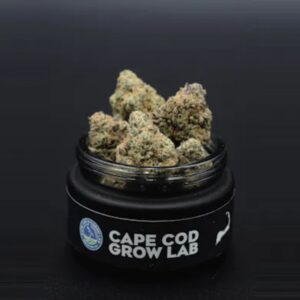 Paul Morphy | Flower | 3.5g