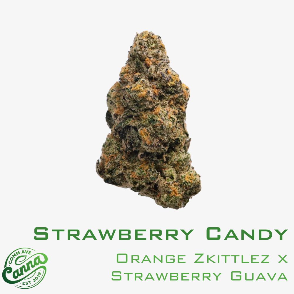 Strawberry Candy | Classic Flower