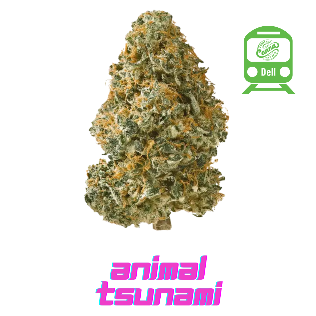 Animal Tsunami (IH) | Deli Flower