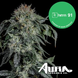 Chem 91 (H) | Flower | 3.5g