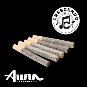 Crescendo (S) | Pre-Roll | 1g