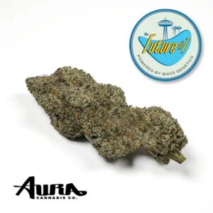 Future #1 (H) | Flower | 3.5g