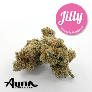 Jilly (SH) | Flower | 3.5g