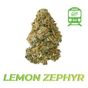 Lemon Zephyr (SH) | Deli Flower