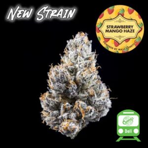Strawberry Mango Haze (SH) | Deli Flower