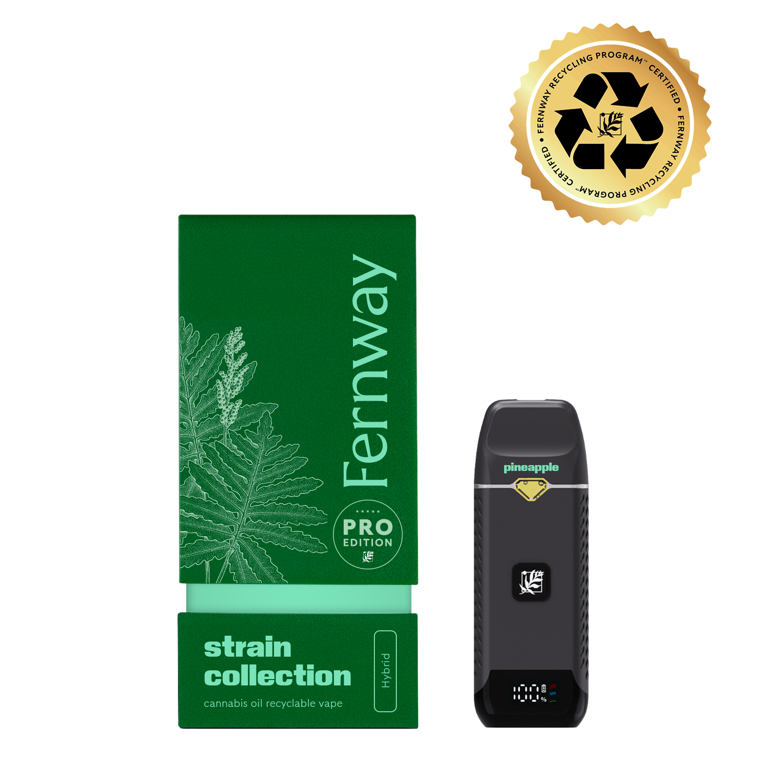 Pineapple Express (S) | Distillate Traveler PRO | 1g | Fernway - Image 3