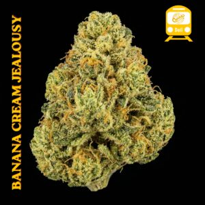 Banana Cream Jealousy (H) | Deli Flower