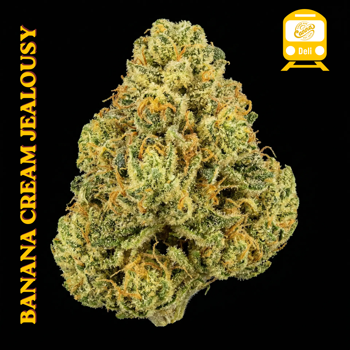 Banana Cream Jealousy (H) | Deli Flower