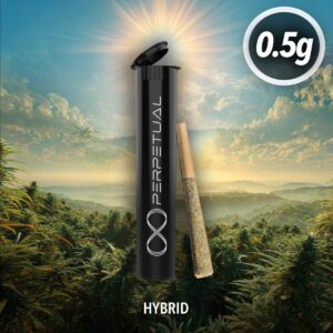 Blue Pyramid (H) | Pre-Roll | 0.5g