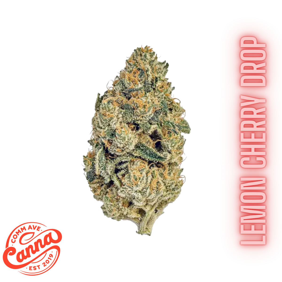 Lemon Cherry Drop (SH) | Flower | 28g