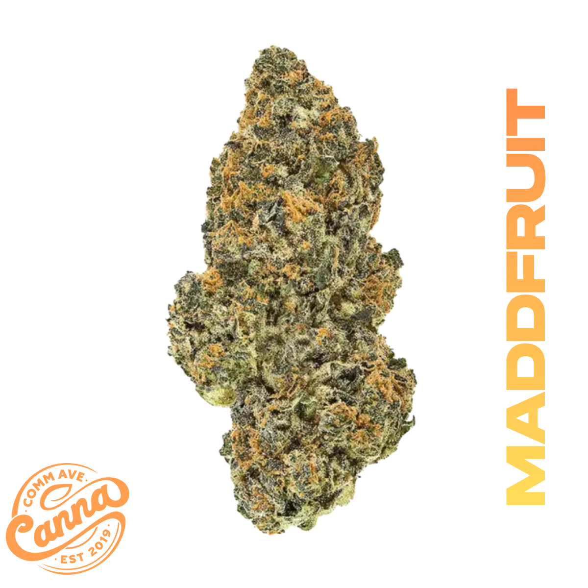 Madfruit (H) | Small Buds | 28g