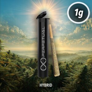Poppins (H) | Pre-Roll | 1g