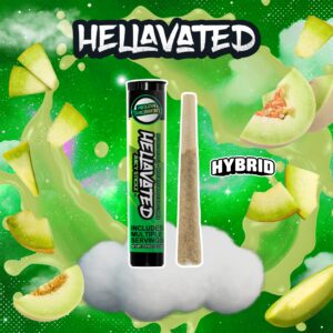 Melon Sherbert | Infused Pre-Roll | 0.75g