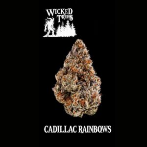 Cadillac Rainbows (Hybrid) | Flower | 3.5g