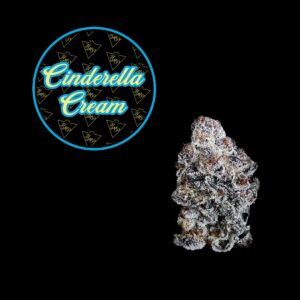 Cinderella Cream (SATIVA) | Premium Flower | 3.5g