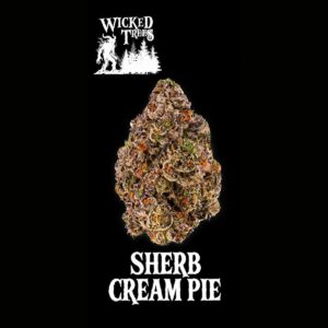 Sherb Cream Pie (Indica-Hybrid) | Flower | 3.5g
