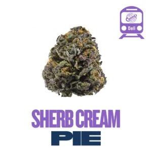 Sherb Cream Pie (IH) | Deli Flower