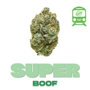 Super Boof (SH) | Deli Flower