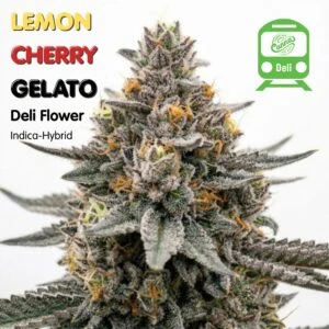 Lemon Cherry Gelato (IH) | Deli Flower